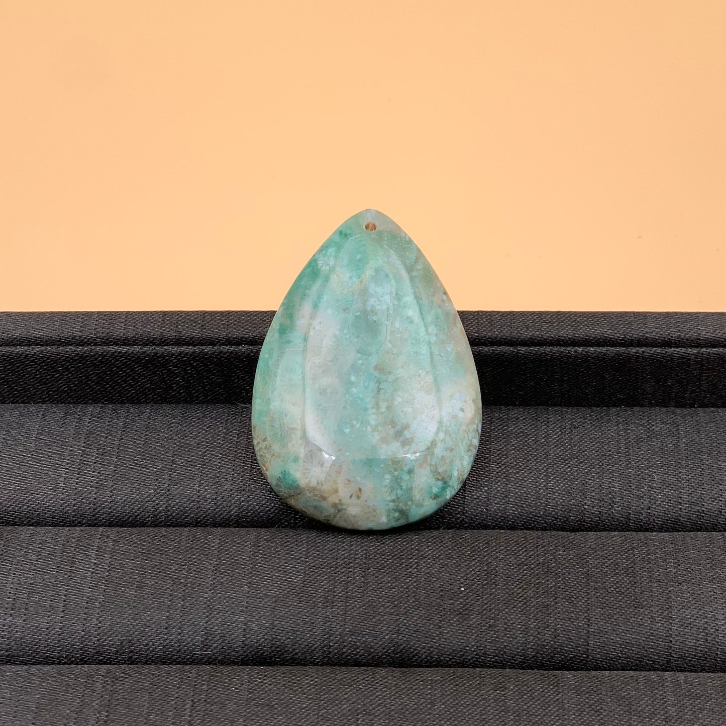 Đá San Hô Hóa Thạch