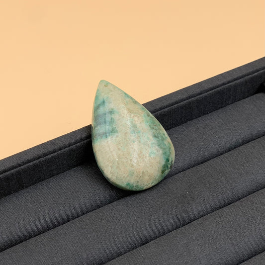 Đá San Hô Hóa Thạch